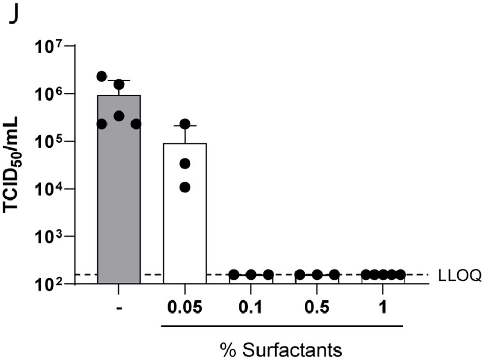 Grafik Quelle: Virus Research 316, 198791 (2022)